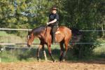Een betere relatie met je paard? Mag ik je he